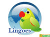lingoes