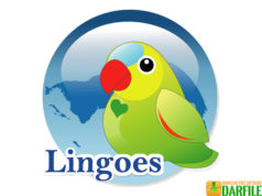 lingoes